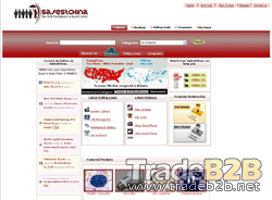 SafestChina.com - China Wholesale B2B Marketplace