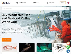 Yorso.com - B2B fish and seafood wholesale market