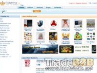 Toys.tradeprince.com - China Toys B2B website to Global Foreigh Trading